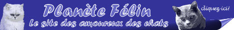 Planète Félin